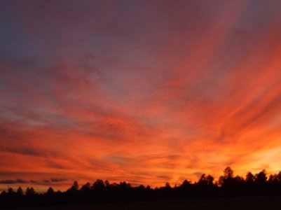 sunset off the back porch.jpg