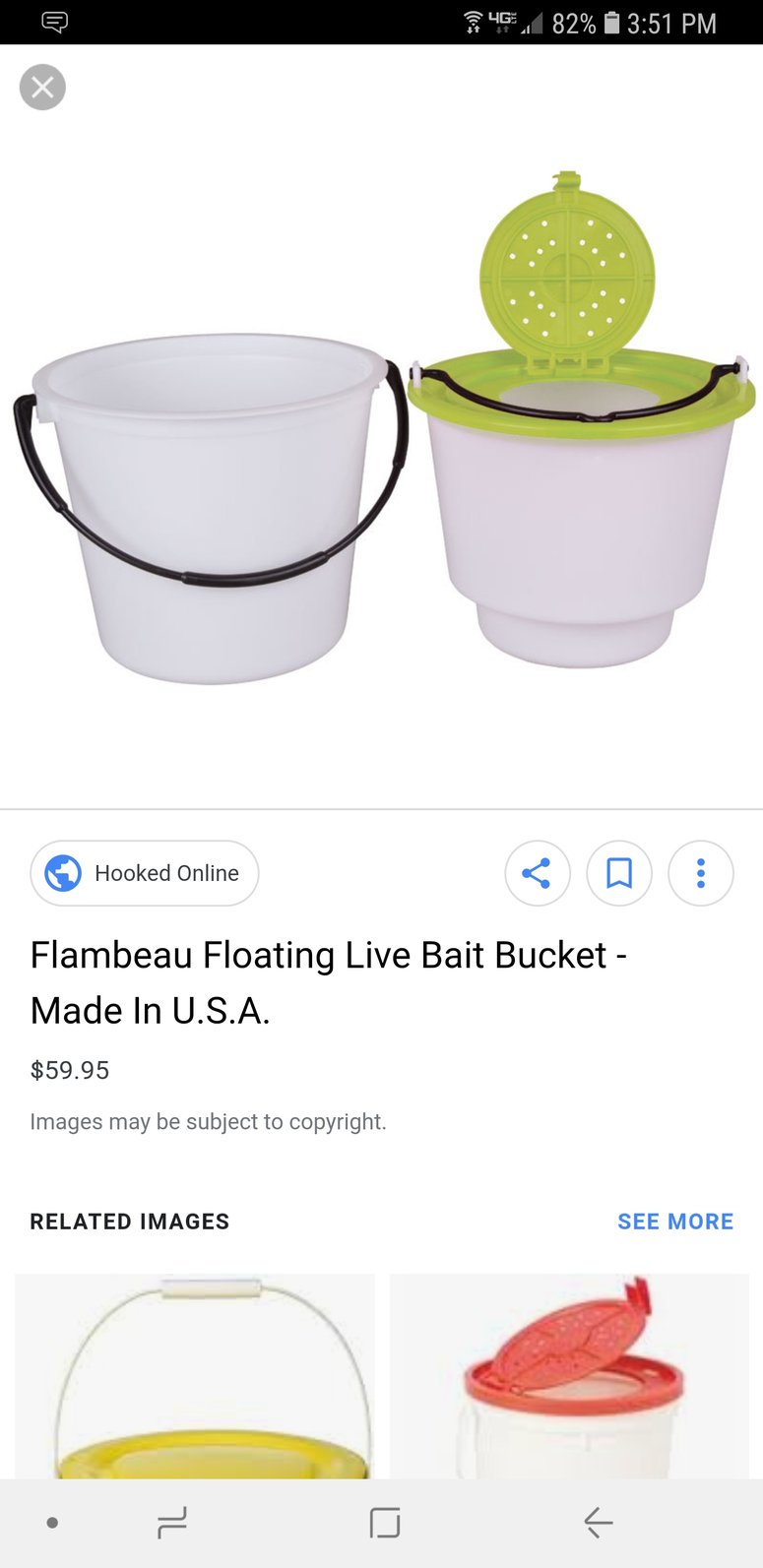 Minnow bucket for livewell