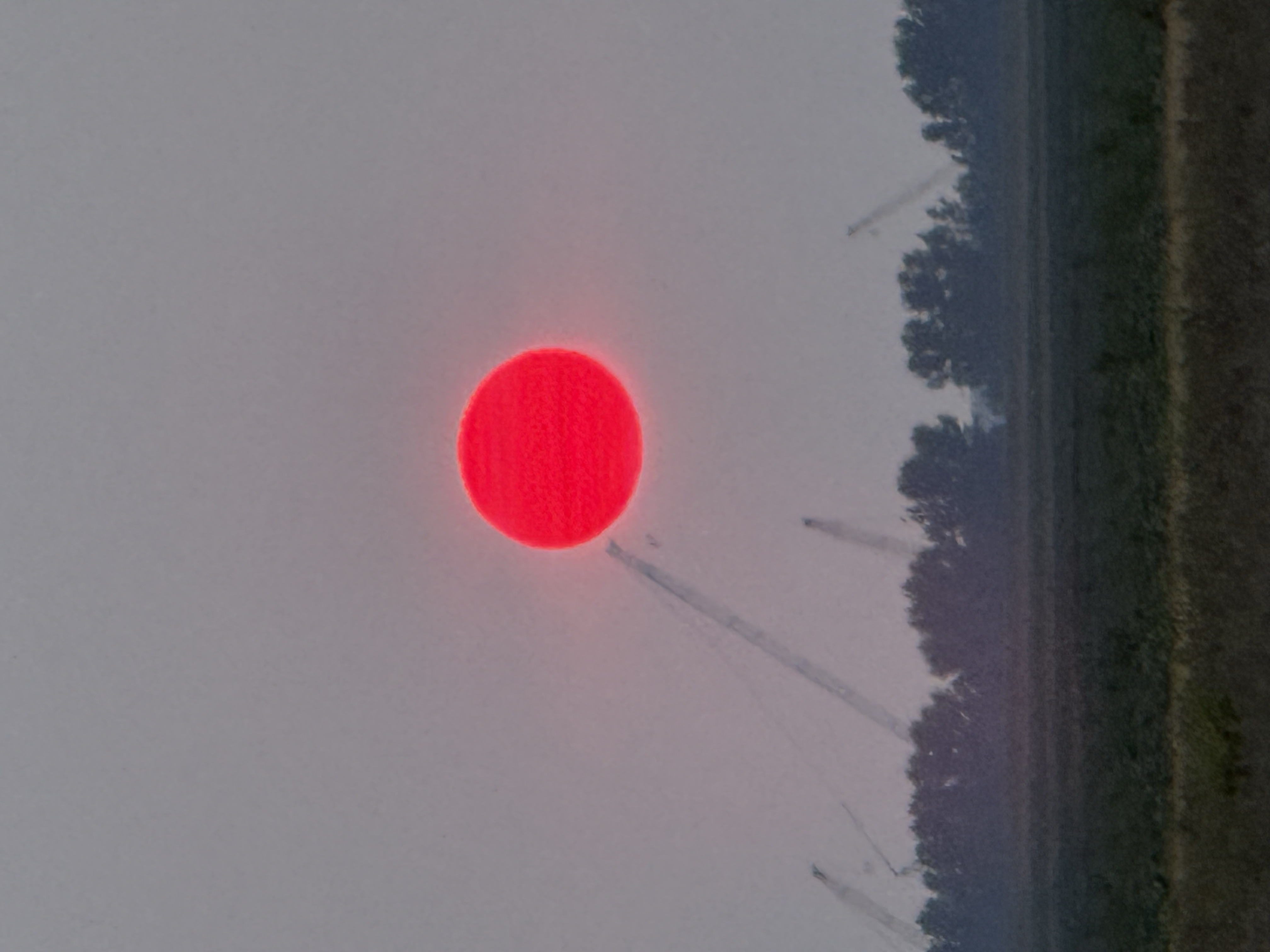 1785031264001.png