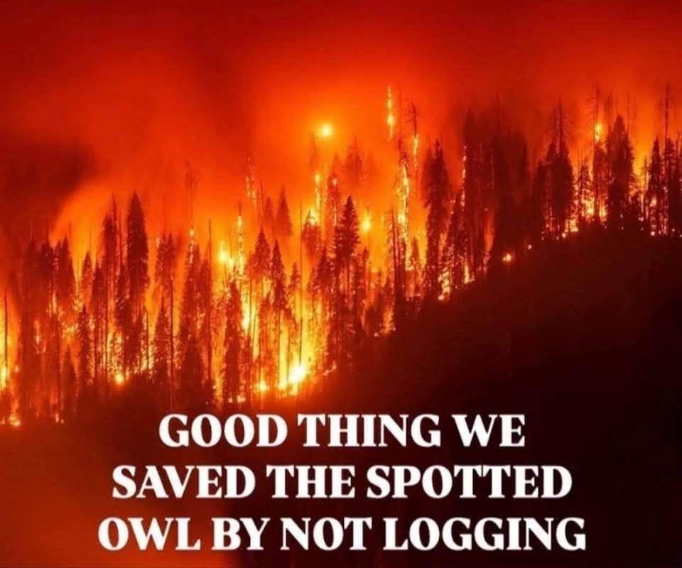 1785808788992.png