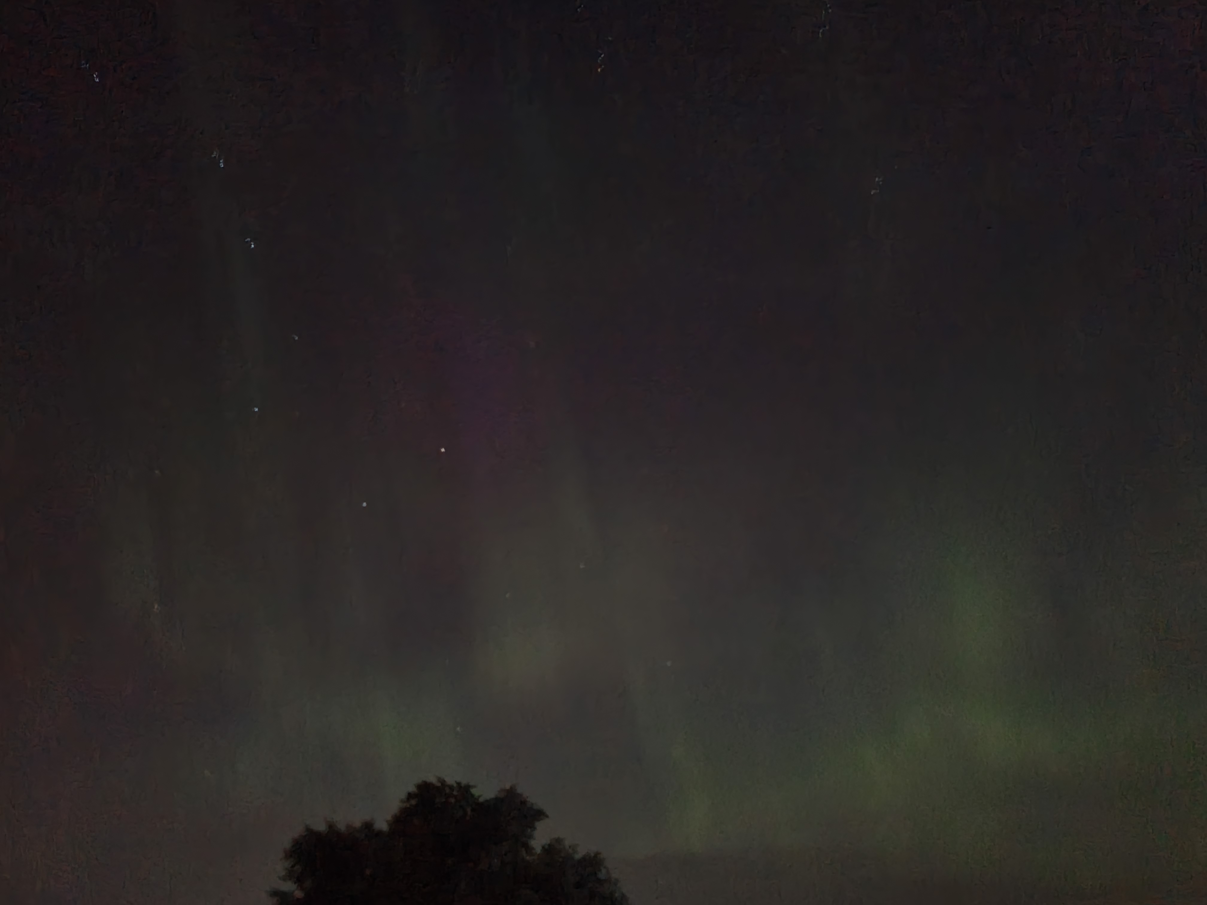 20260704_005950.jpg