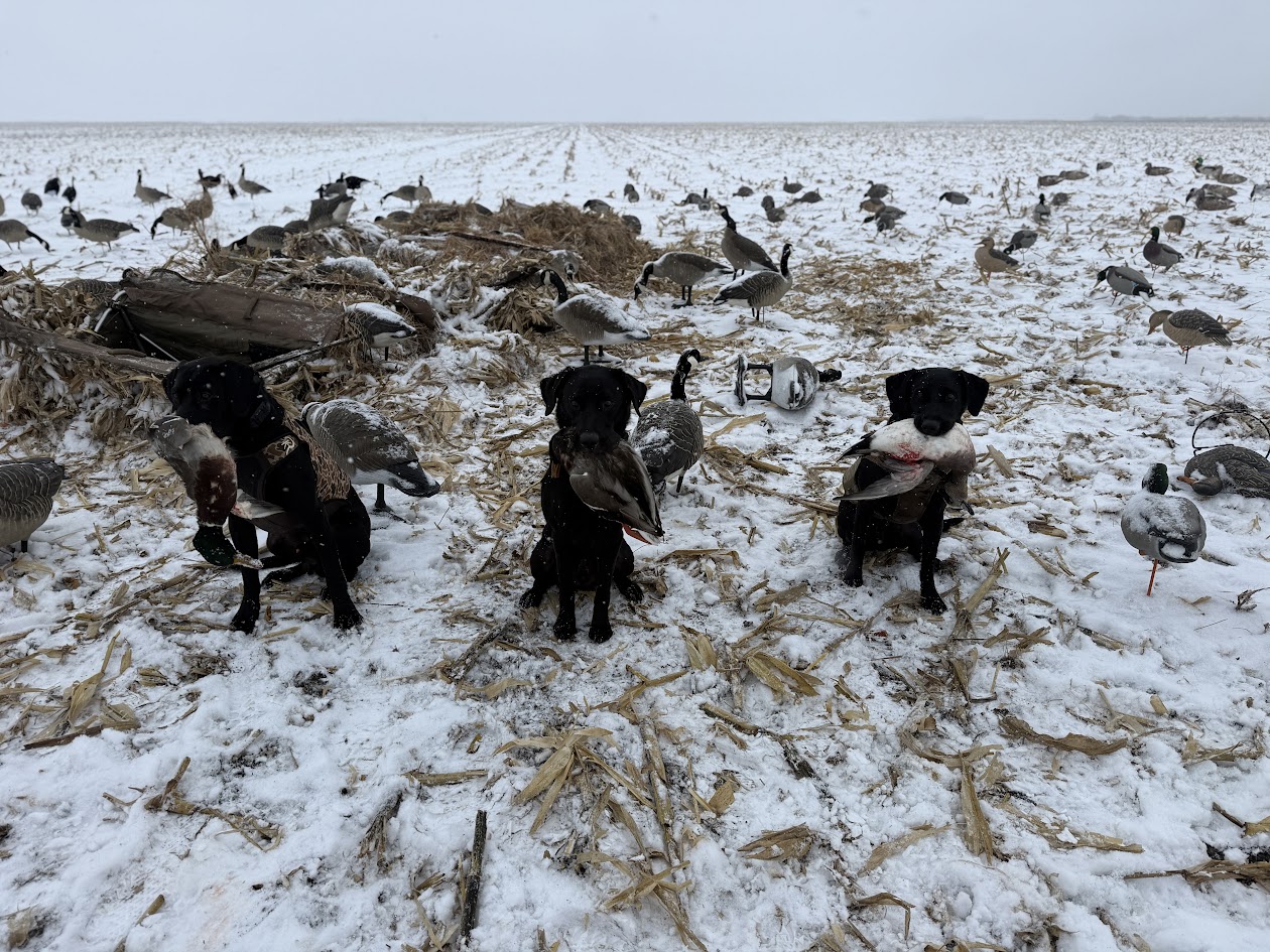 banks tenny snoop.jpeg