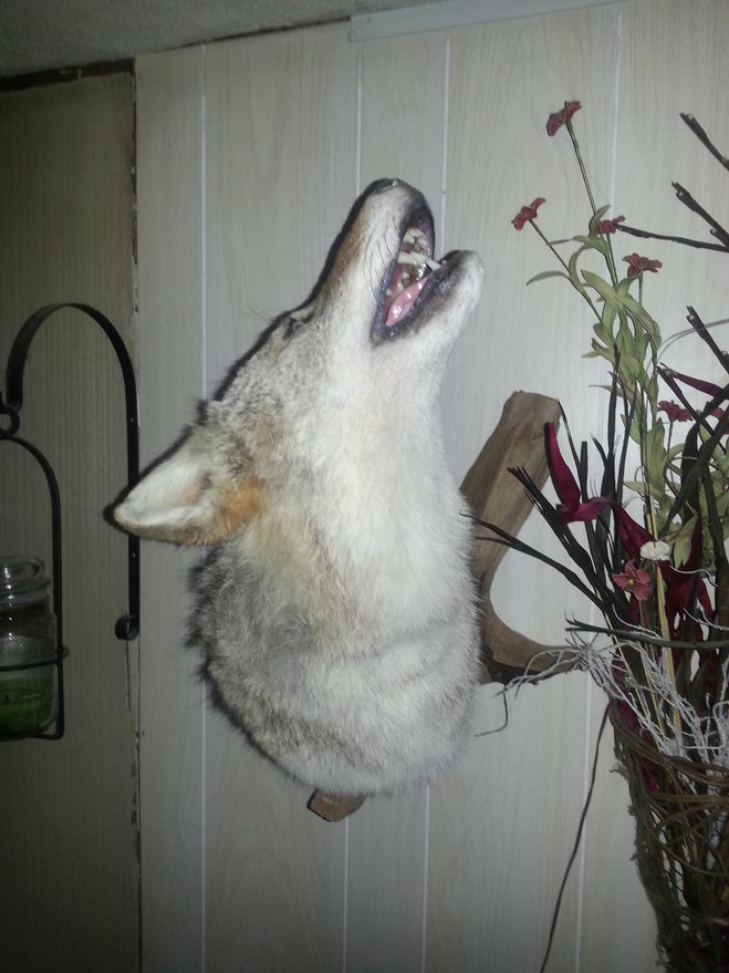 Dennis's IPhone Photos 051.jpg