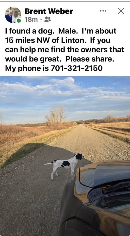 Dog At Linton.jpg