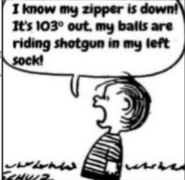 IMG_7153.png