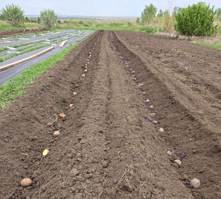 Screenshot 2025-05-15 105843.png