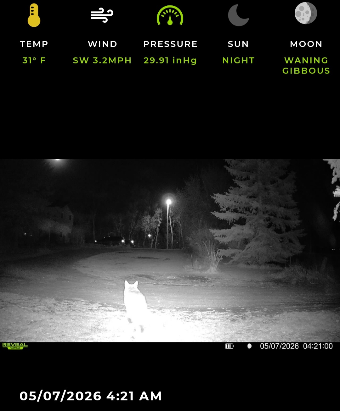 Screenshot_20260617-115637_Reveal.jpg