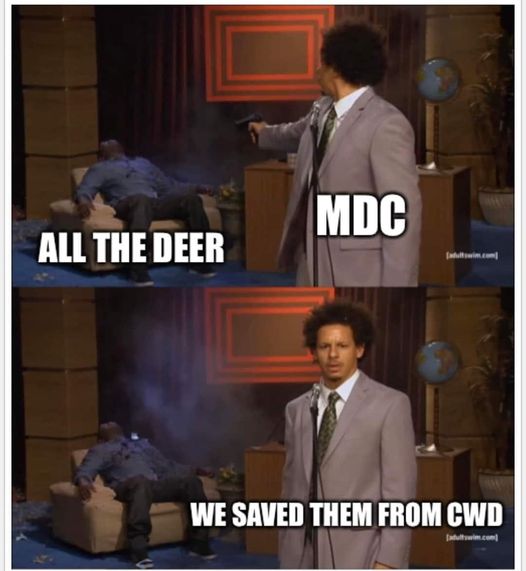 we saved them from cwd.jpg