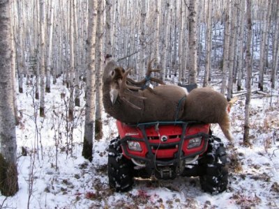 Alberta ATV.jpg