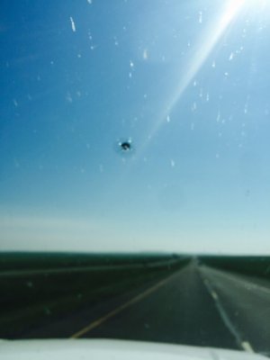 11028034_10207464687319607_4130624788693195334_o.jpg 11028034_10207464687319607_4130624788693195334_o.jpg