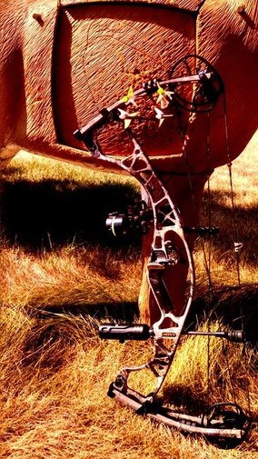 tactacam.jpg tactacam.jpg