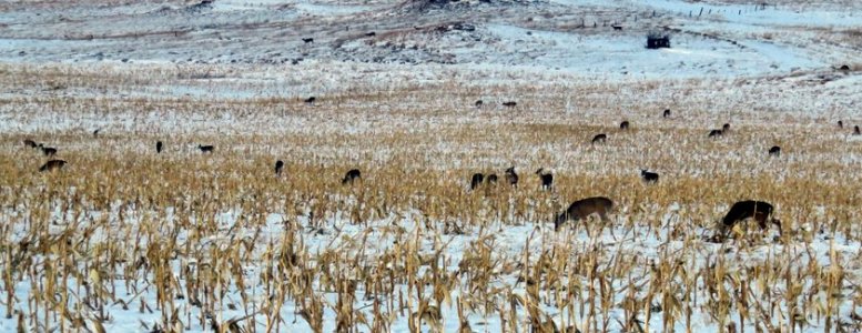 020 (2).jpg 020 (2).jpg