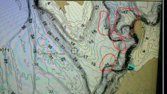 IMG_20170112_230143.jpg IMG_20170112_230143.jpg