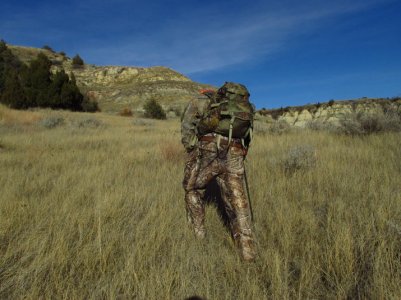 IMG_1167.jpg IMG_1167.jpg