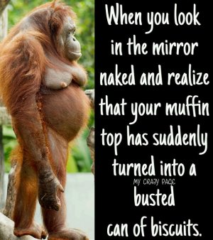 IMG_0414.jpg IMG_0414.jpg