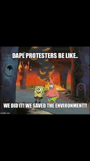 IMG_0516.JPG IMG_0516.JPG