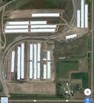 20170227_140441.jpg 20170227_140441.jpg