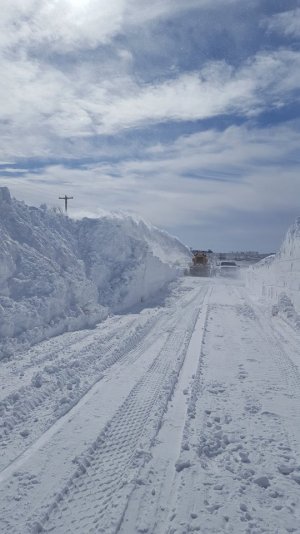 17098388_10154401991001245_5171214022475564125_n.jpg 17098388_10154401991001245_5171214022475564125_n.jpg