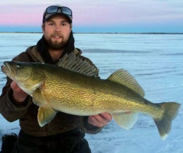 walleye last mtn.jpg