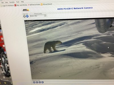 IMG_5938.jpg IMG_5938.jpg