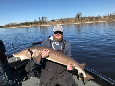 sturgeon.jpg