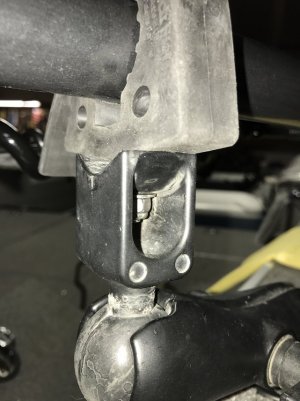 IMG_3731.jpg IMG_3731.jpg