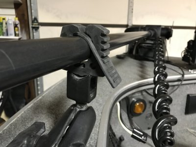 IMG_3730.jpg IMG_3730.jpg