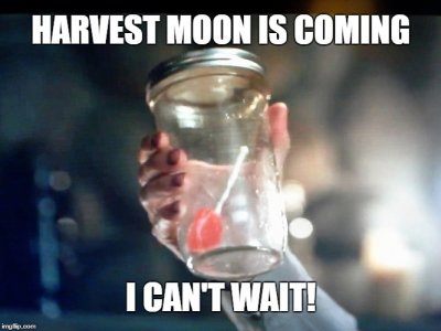 IMG_2975.JPG IMG_2975.JPG