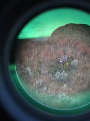 4C5B920E-F5AA-4B6C-A2B8-CA600193B5CC.jpg 4C5B920E-F5AA-4B6C-A2B8-CA600193B5CC.jpg