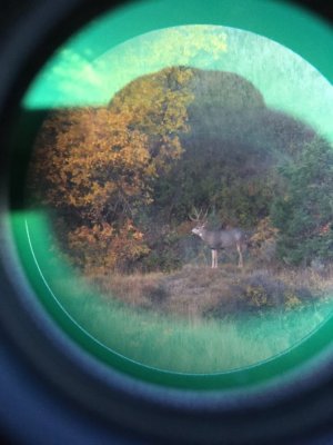 A62F46C8-2955-49E9-9671-0F19AA7BBDEC.jpg A62F46C8-2955-49E9-9671-0F19AA7BBDEC.jpg