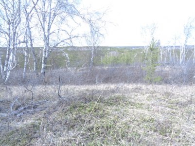 DSC00104.jpg DSC00104.jpg