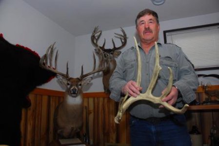 MiloII.jpg MiloII.jpg