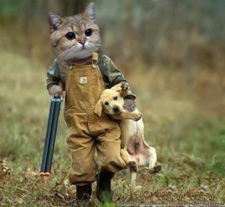 badkitty.jpg badkitty.jpg