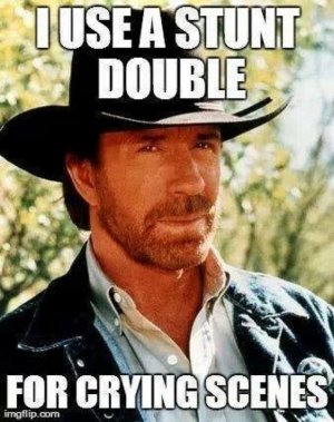 Chuck-Norris-Facts-EMGN13.jpg