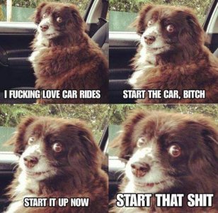 17991931_1898693993747504_2169357352728088443_n.jpg 17991931_1898693993747504_2169357352728088443_n.jpg