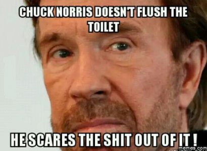 Chuck-Norris-toilet.jpg