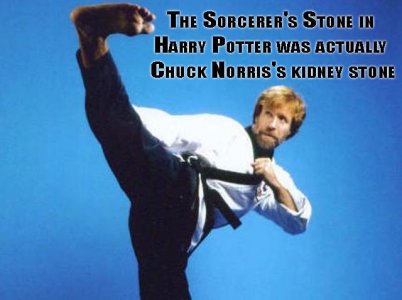 chuck-norris-facts-12.jpg