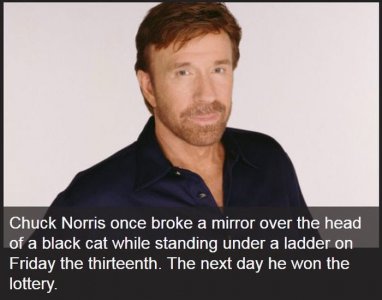 chuck_norris_19.jpg