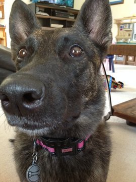 IMG_8002.jpg IMG_8002.jpg