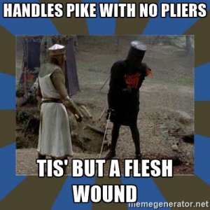 monty-python-black-knight-handles-pike-with-no-pliers-tis-but-a-flesh-wound.jpg