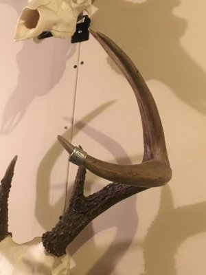 IMG_0116.jpg IMG_0116.jpg