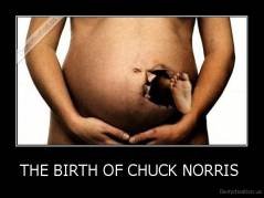 demotivation.us_THE-BIRTH-OF-CHUCK-NORRIS-_13448634980.jpg