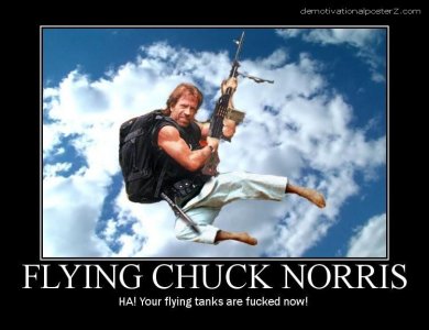 633666228647673689-flyingchucknorris.jpg