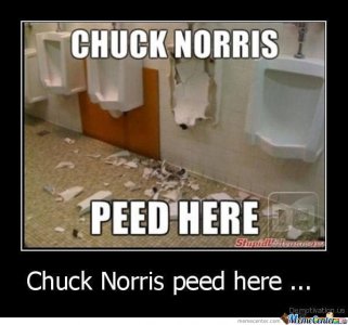 Chuck-Norris-peed-here_o_125890.jpg