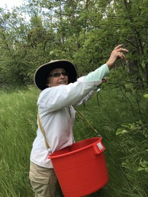 2017-06-22 15.16.28_reduced.jpg 2017-06-22 15.16.28_reduced.jpg