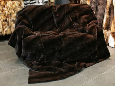 1-772-nerzdecke-wieselfutter.jpg 1-772-nerzdecke-wieselfutter.jpg