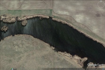 feedlot4.jpg feedlot4.jpg