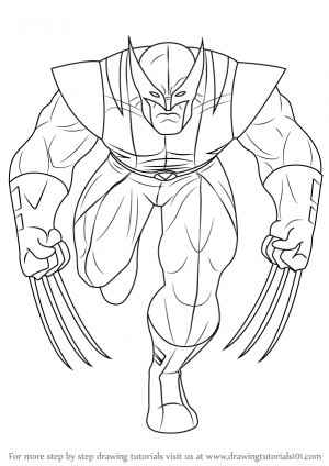 how-to-draw-Angry-Wolverine-step-0.png