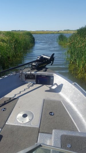 20170731_103526.jpg 20170731_103526.jpg