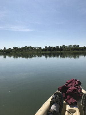 IMG_1951.jpg IMG_1951.jpg